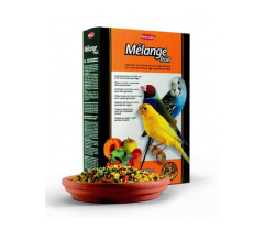 Melange fruit 300g